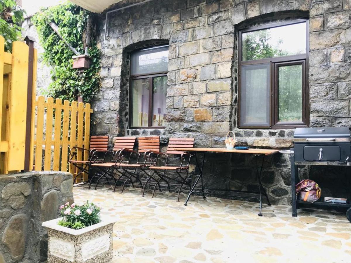 Apartment Carol Private Yard With Barbeque And Parking Sinaia Exterior photo