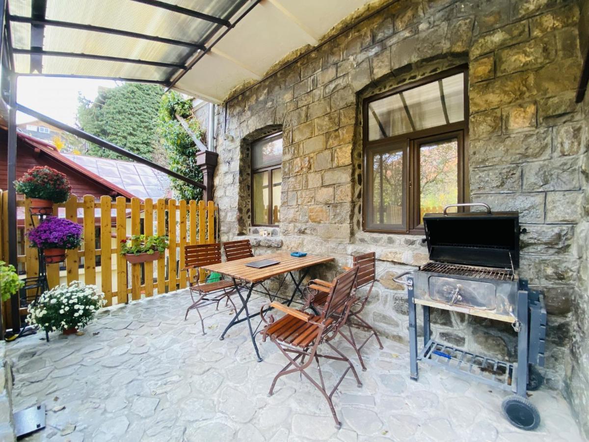Apartment Carol Private Yard With Barbeque And Parking Sinaia Exterior photo