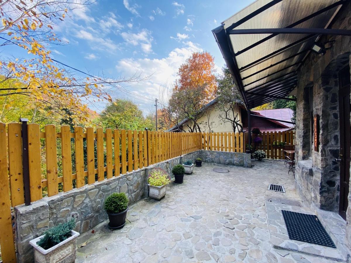 Apartment Carol Private Yard With Barbeque And Parking Sinaia Exterior photo