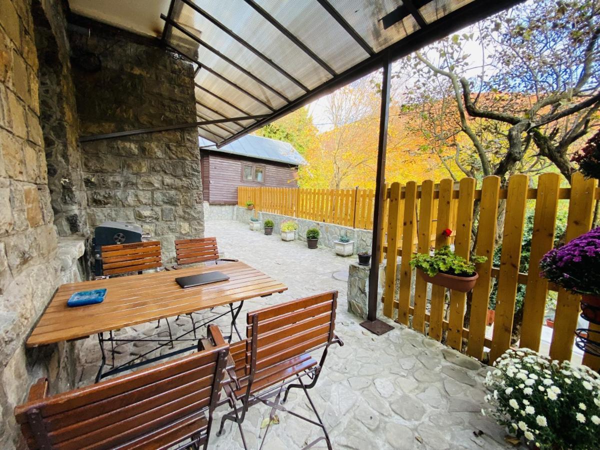 Apartment Carol Private Yard With Barbeque And Parking Sinaia Exterior photo