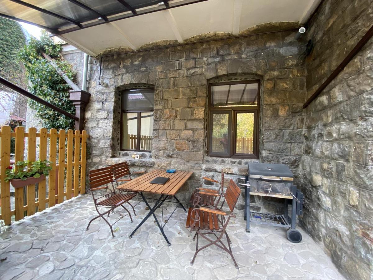 Apartment Carol Private Yard With Barbeque And Parking Sinaia Exterior photo